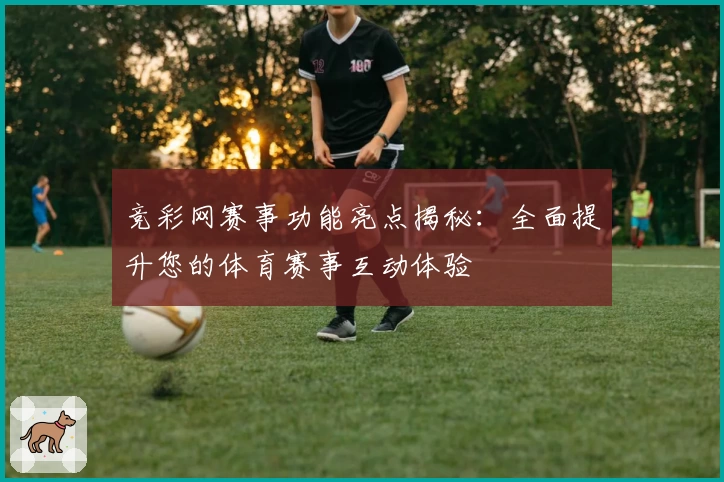 竞彩网赛事功能亮点揭秘：全面提升您的体育赛事互动体验