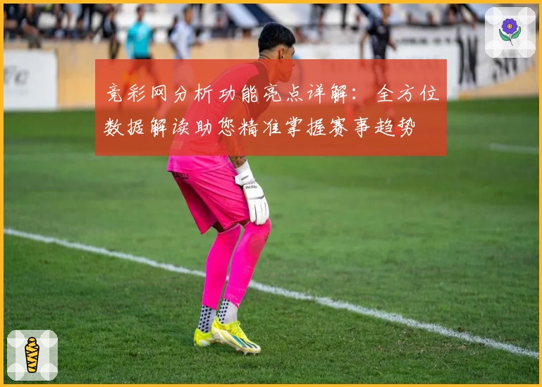竞彩网分析功能亮点详解：全方位数据解读助您精准掌握赛事趋势