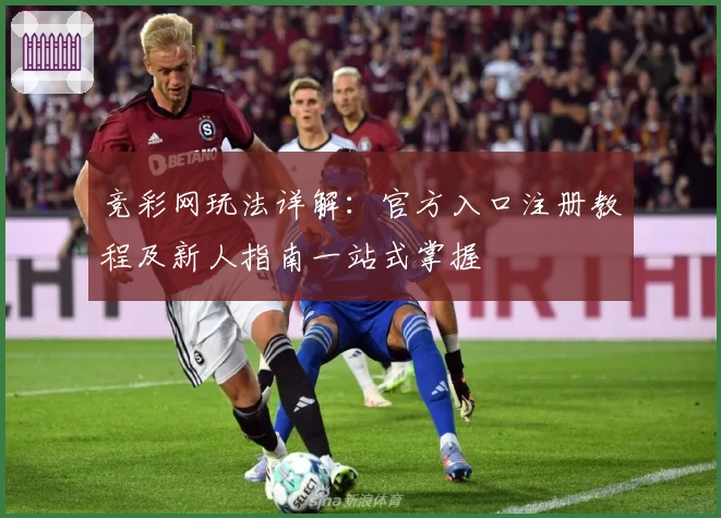 竞彩网玩法详解：官方入口注册教程及新人指南一站式掌握
