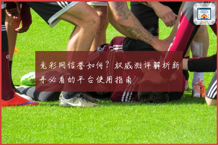 竞彩网信誉如何?权威测评解析新手必看的平台使用指南